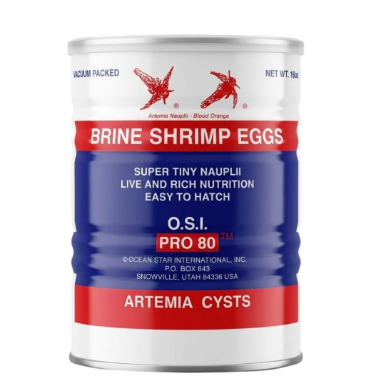 Brine Shrimp Eggs-O.S.I